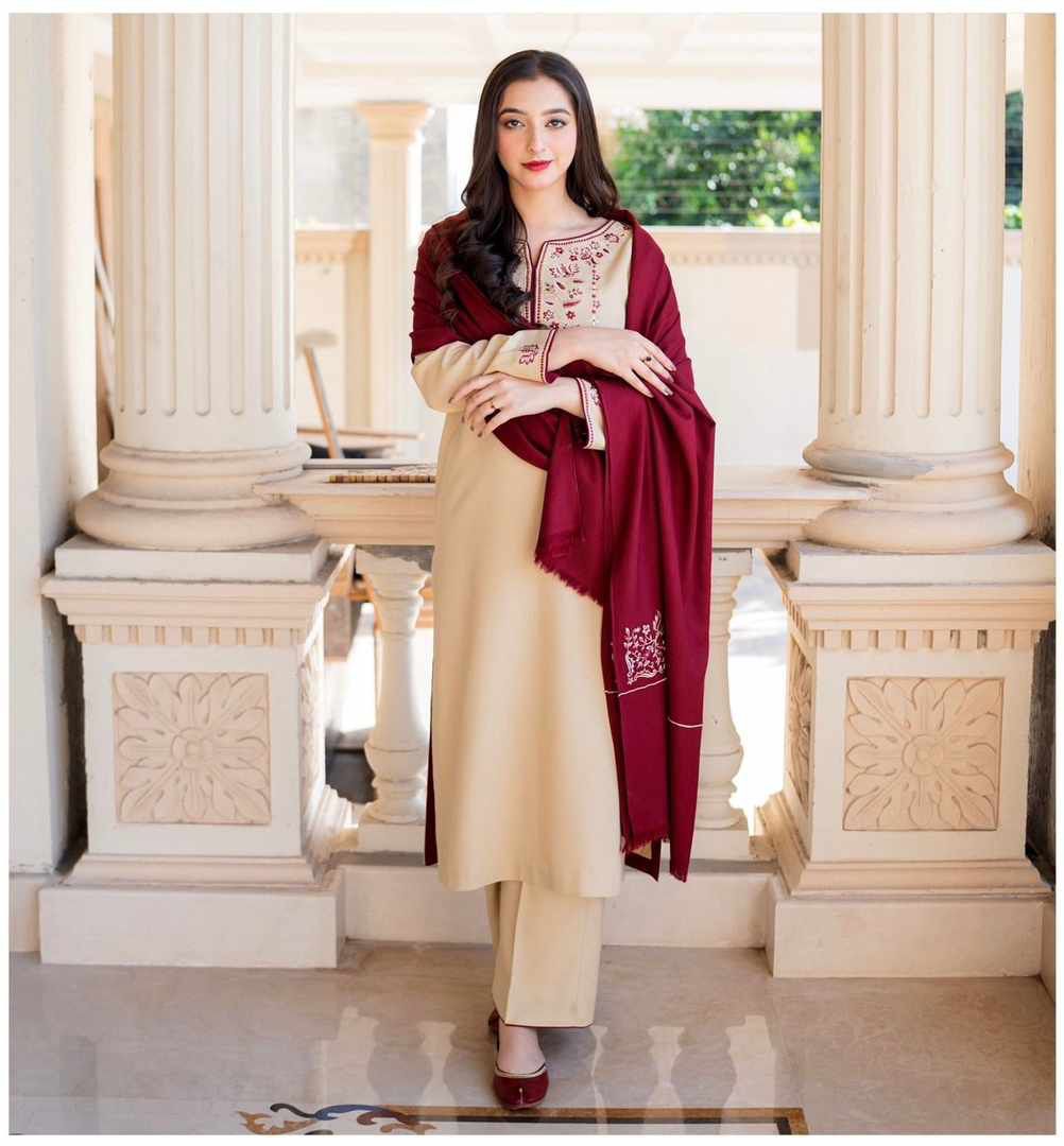 Embroidery Winter Dhanak Fabirc 3pc suit, GuaranteeWinter Dhanak Unstitched Embroidered 3-Piece Suit with Digital Printed Pashmina Wool Shawl D-1028
