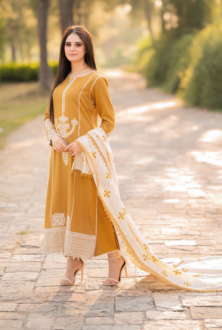 DHANAK 3PC Embroidered