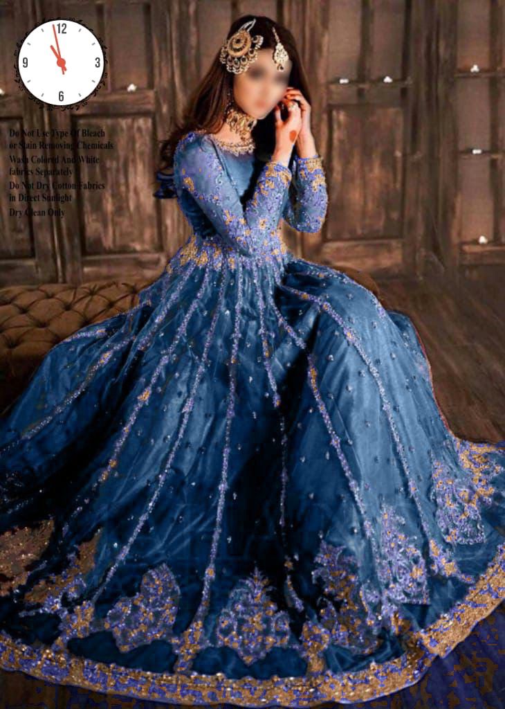 Hira Mani Net Long Frock D-1751