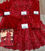 Mariam & Maria   net heavy embroidery D-1698
