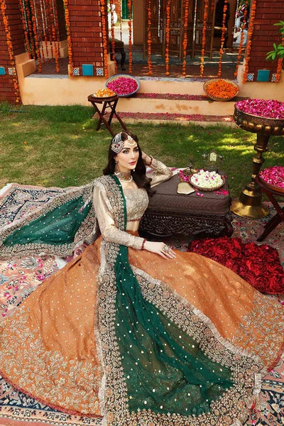 Ayesha Imran maxi hand work D-1519