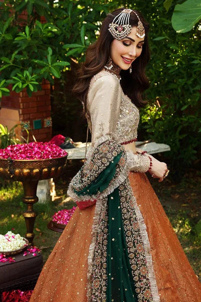 Ayesha Imran maxi hand work D-1519